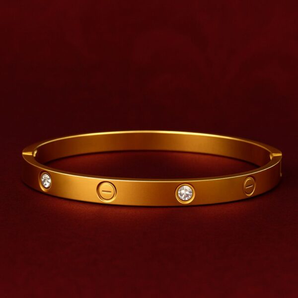 Cartier - IMG 1