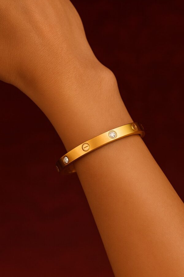 Cartier - IMG 3